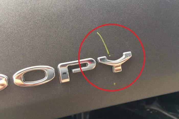 Lah Kok Motor Baru Udah Baret Aja? Tenang, Itu Ada Artinya Bro